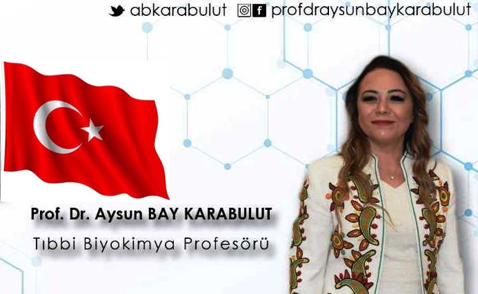 Uluslar arası ödüllü Prof. Dr. Aysun Bay Karabulut MHP den Mv A Adayı