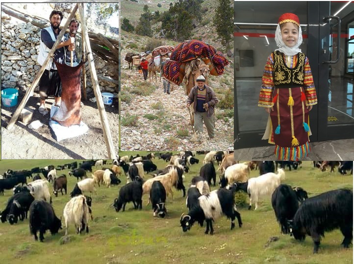 YÖRÜKLERİN ÖNEMİ VE ANADOLU TÜRK KÜLTÜRÜ
