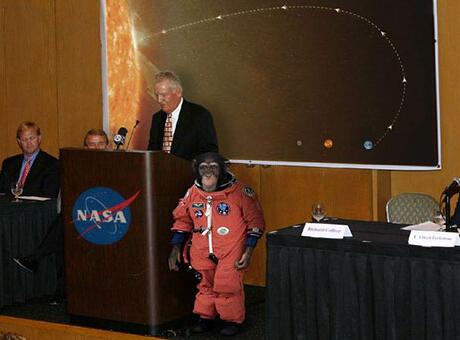 ‘NASA, Güneş’e şempanze gönderecek’ haberi doğru çıkmadı