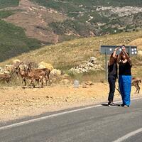 Tunceli’de ölümcül uyarı: Gördüğünüz an uzak durun
