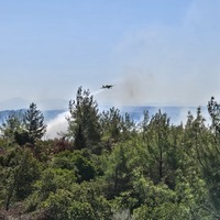 Manisa ve Çanakkale’de orman yangını: Tarihi yarımada ziyarete kapatıldı