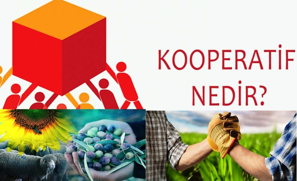 Ercan Kutlu : Köylülerin Kazancını Arttıracak Kooperatif Modeli: Aracıları Aradan Çıkarın.