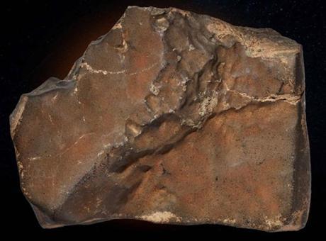 Dünyada bulunan en büyük Mars meteoru rekor fiyata satılabilir
